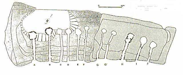 Querschnitt
