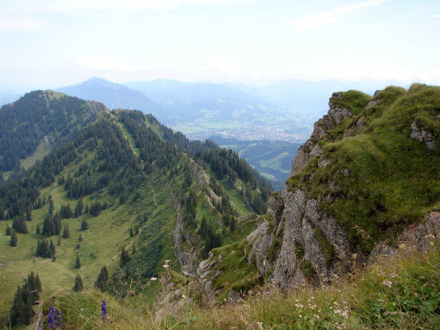 Steink&ouml;pfle