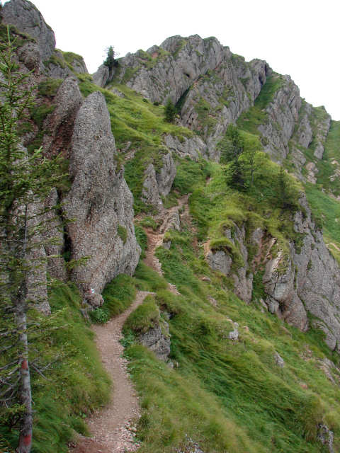Steink&ouml;pfle
