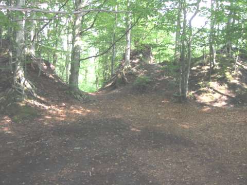 Rothenfels