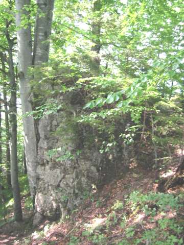 Rothenfels