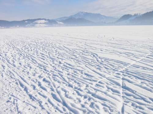 Winter am Alpsee