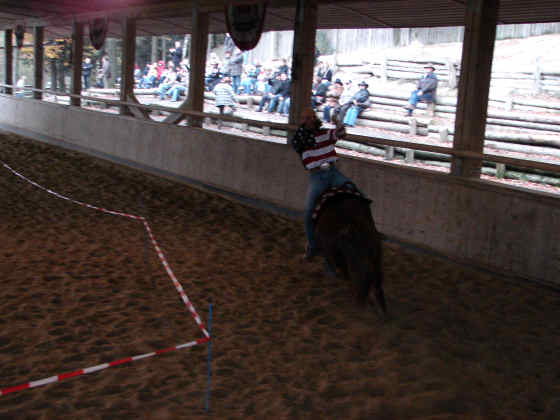 Trick Riding Show